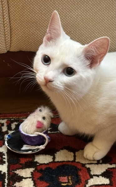 Lap dances, strippers and punch-ups - the Excellent Cats arrange a stag party