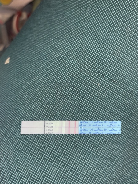 March 2025 TTC support group