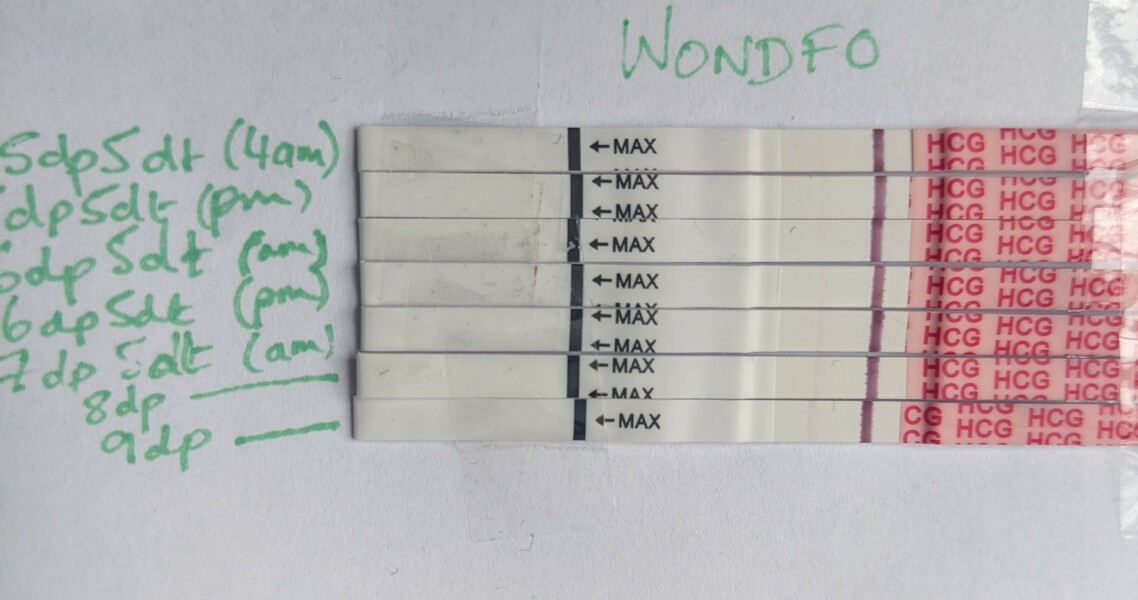 February/March FET
