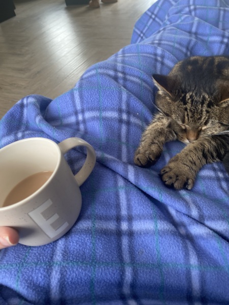 Cancer Support Thread 96: It’s nearly Christmas - get the sprouts on.