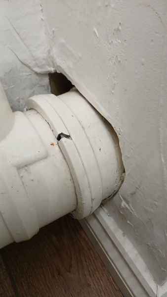 Is this a problem expanding foam can fix?