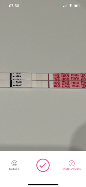 11dpo