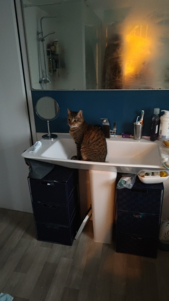 Lap dances, strippers and punch-ups - the Excellent Cats arrange a stag party