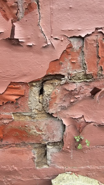 Exposed brick work causing damp
