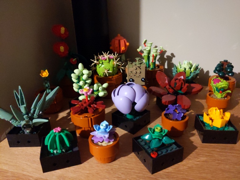 To show me your Lego collection?