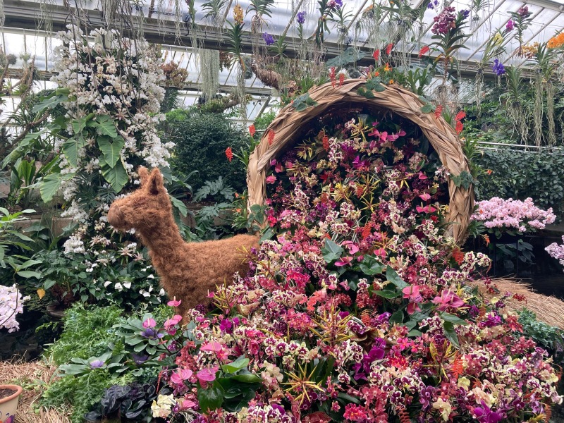 The Great Recovery part 4