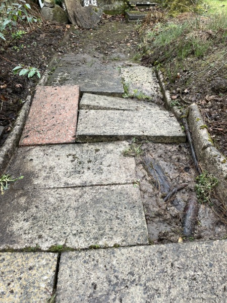 Wonky path - remove slabs or not