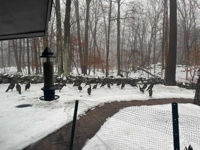 Come and tell us your dull and unexciting news 33: Calmly through the day