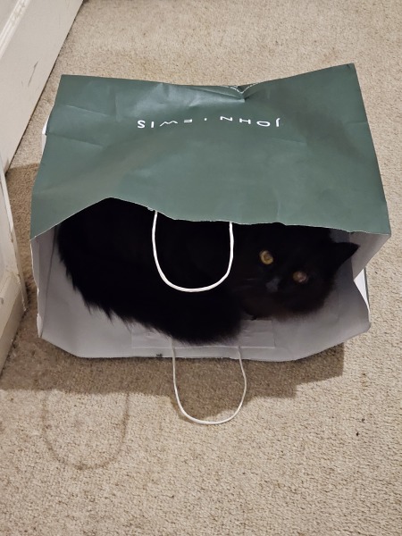 Thread 17: Starmer: Treading softly.