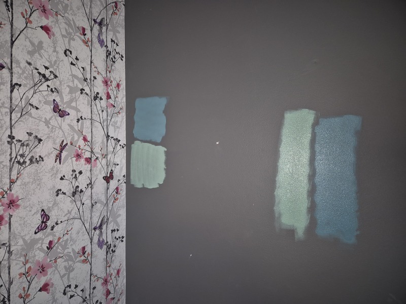 Which paint? Help!