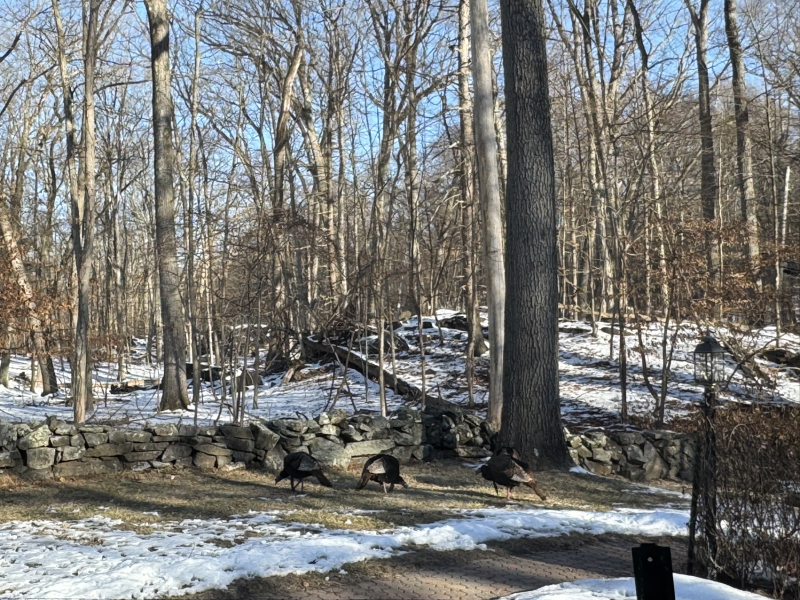 Come and tell us your dull and unexciting news 33: Calmly through the day