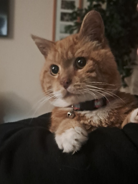 Saying goodbye to Aubrey