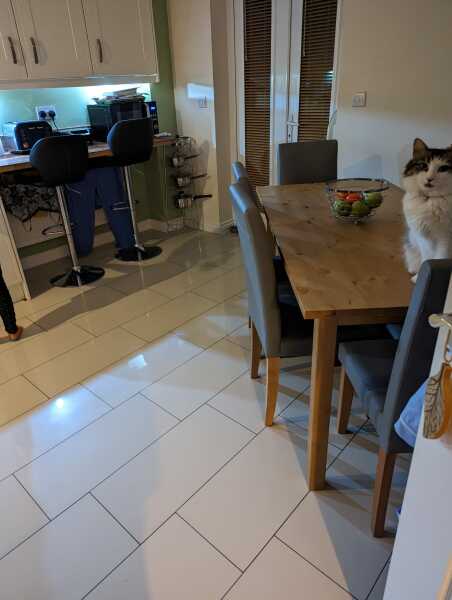 Is everyone's kitchen as hectic as mine? (Photo)
