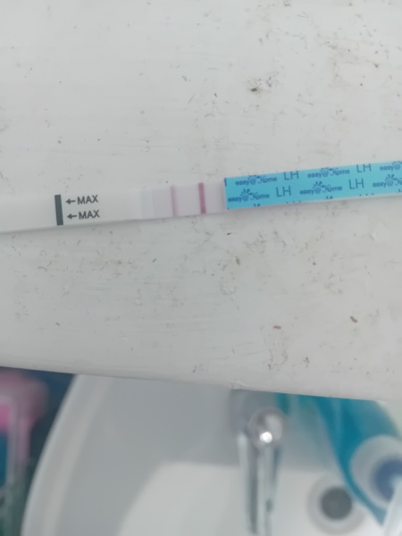 February 2025 TTC Support Group Part 2!