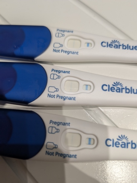 Clear blue test. Evap line or positive