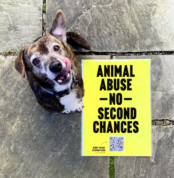 Petition for all animal abusers to be banned from keeping animals