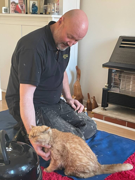 Pampered, Persian, Princess Penelope