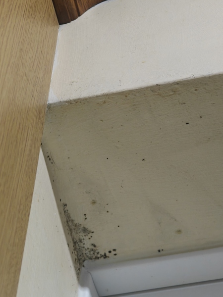 To think our house is making DC sick