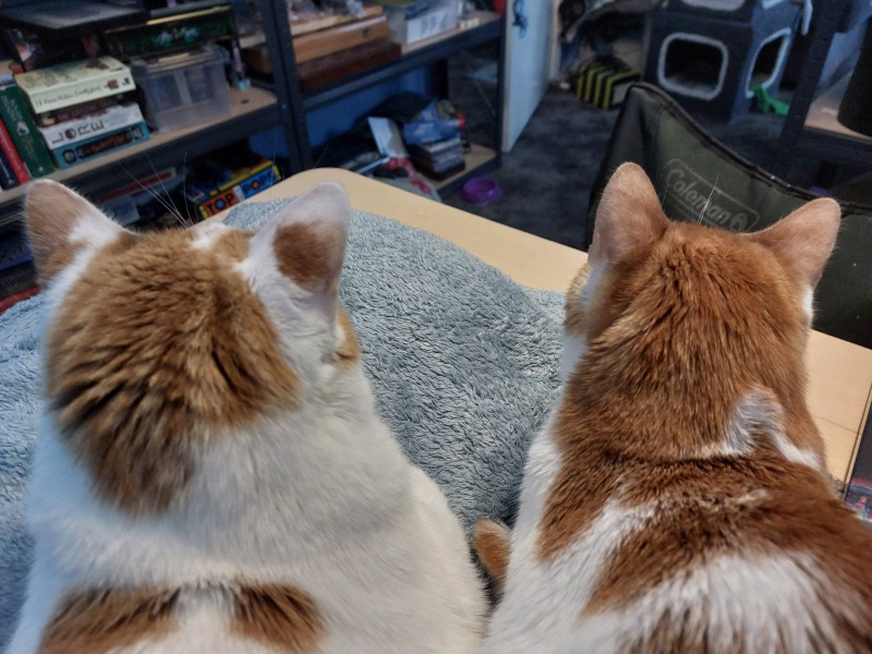 Thread 17: Starmer: Treading softly.