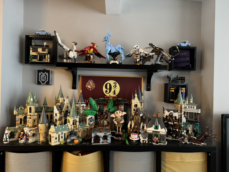 To show me your Lego collection?