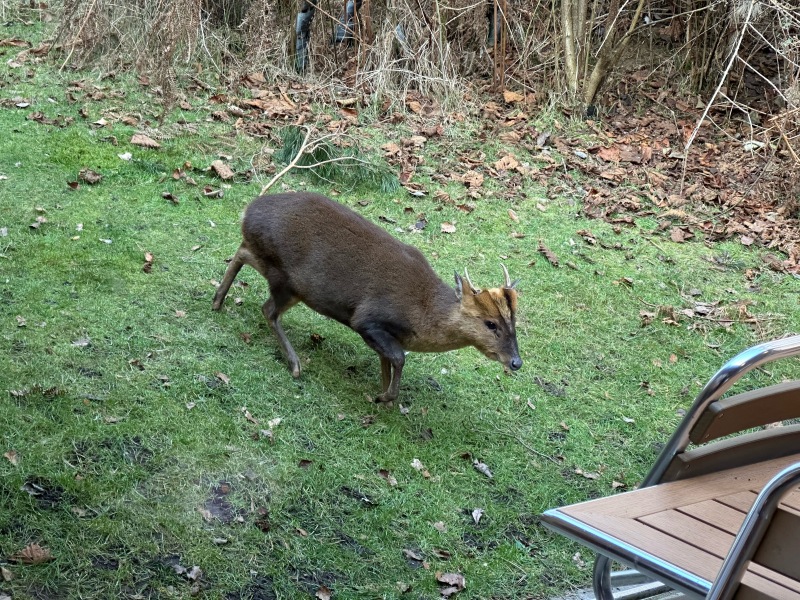 Come and tell us your dull and unexciting news 33: Calmly through the day