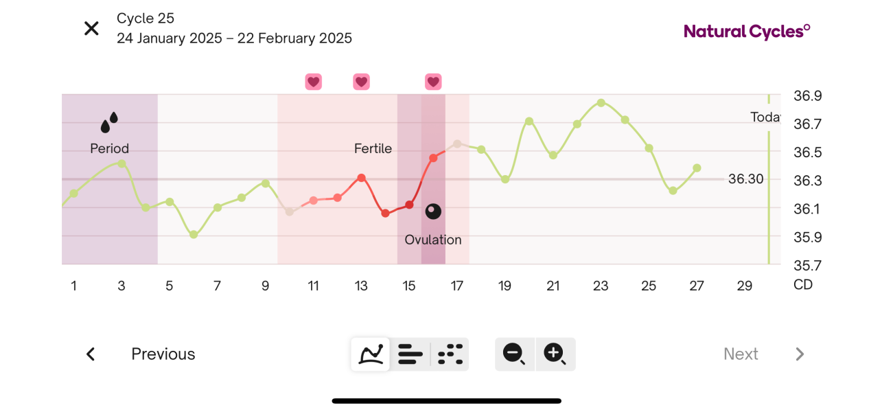 Falling BBT but a positive test