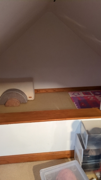 Sad looking playroom!