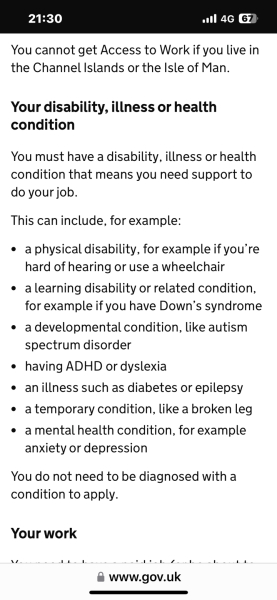 OH assessment (work related)