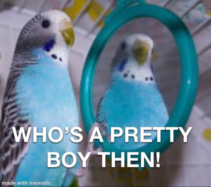 Shon Faye has theories about women, mums, and Mumsnet.