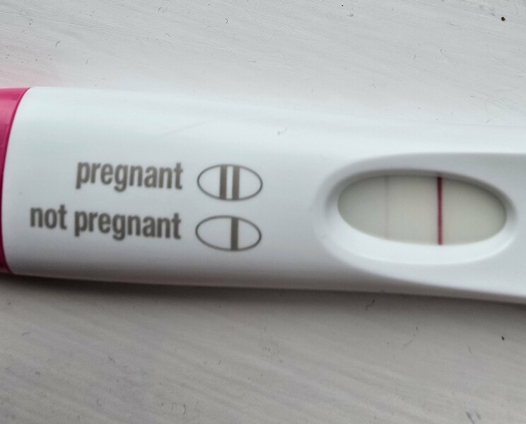 February/March FET
