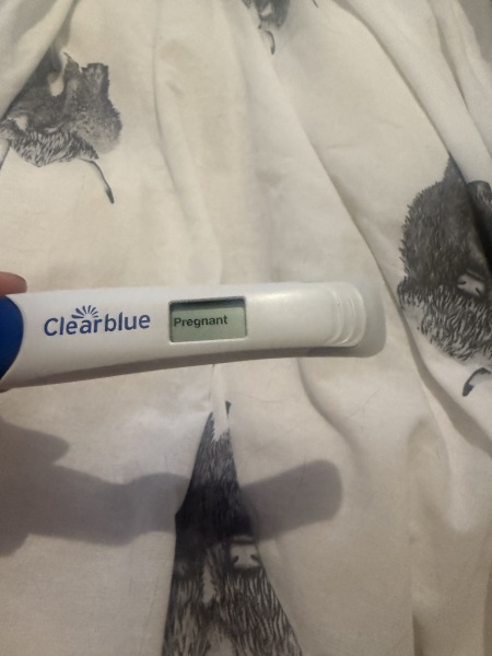 Do you see what I see?