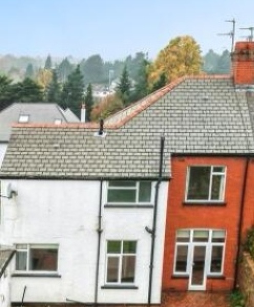 Does anybody know what style of roof this is?