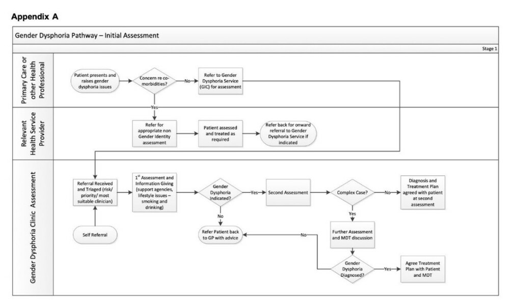 Please help me raise safeguarding issue re ROGD teen autism assessment