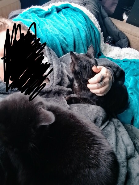 Lap dances, strippers and punch-ups - the Excellent Cats arrange a stag party