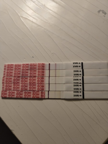 Wondfo 11/12dpo