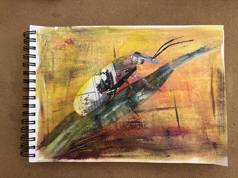 The Bluestocking: where conversation should supersede cards