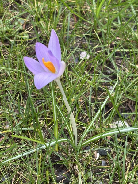 Come and tell us your dull and unexciting news 33: Calmly through the day