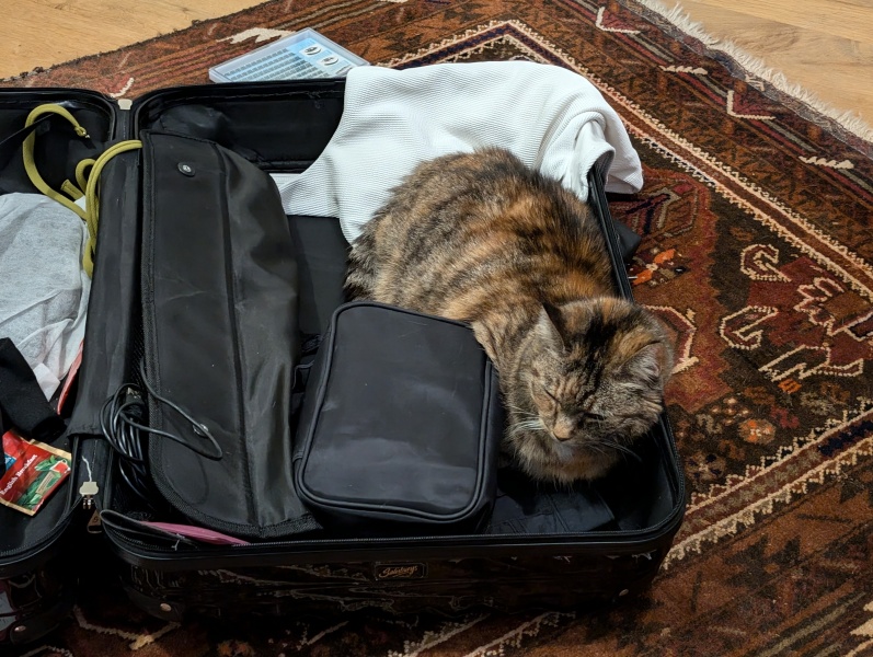 Lap dances, strippers and punch-ups - the Excellent Cats arrange a stag party