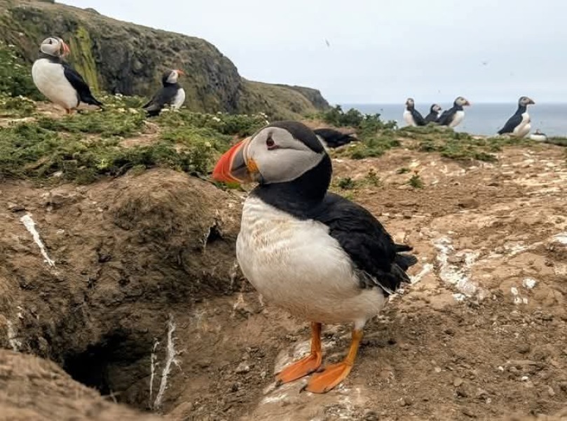 The Bluestocking: where conversation should supersede cards