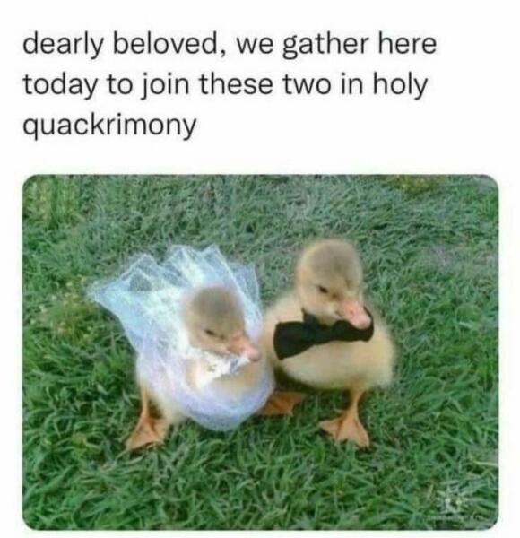 Partner never wants to get married but I do