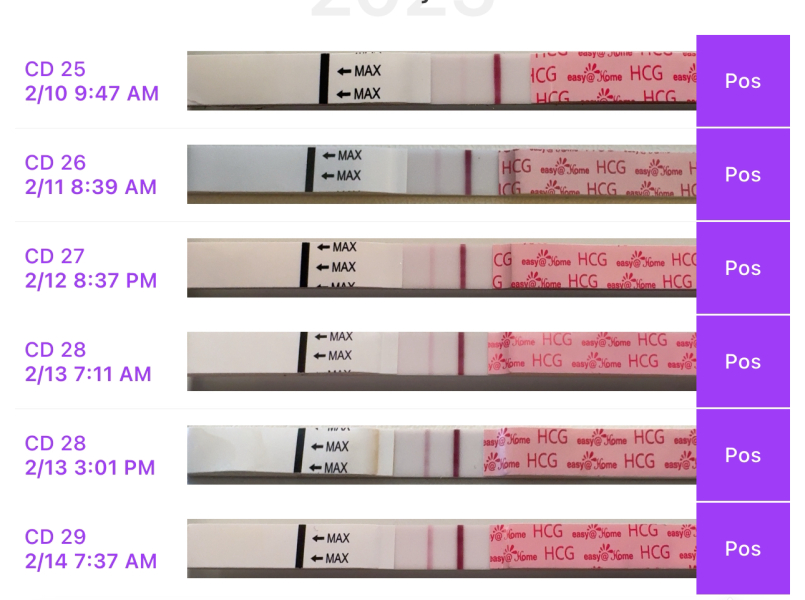 February 2025 TTC Support Group Part 2!