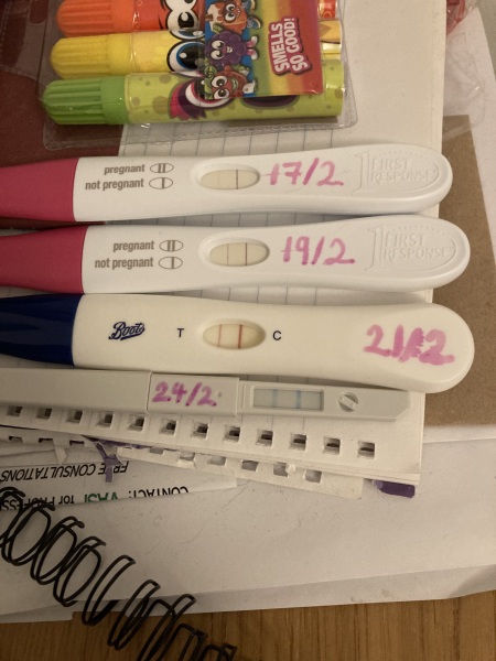 February/March FET