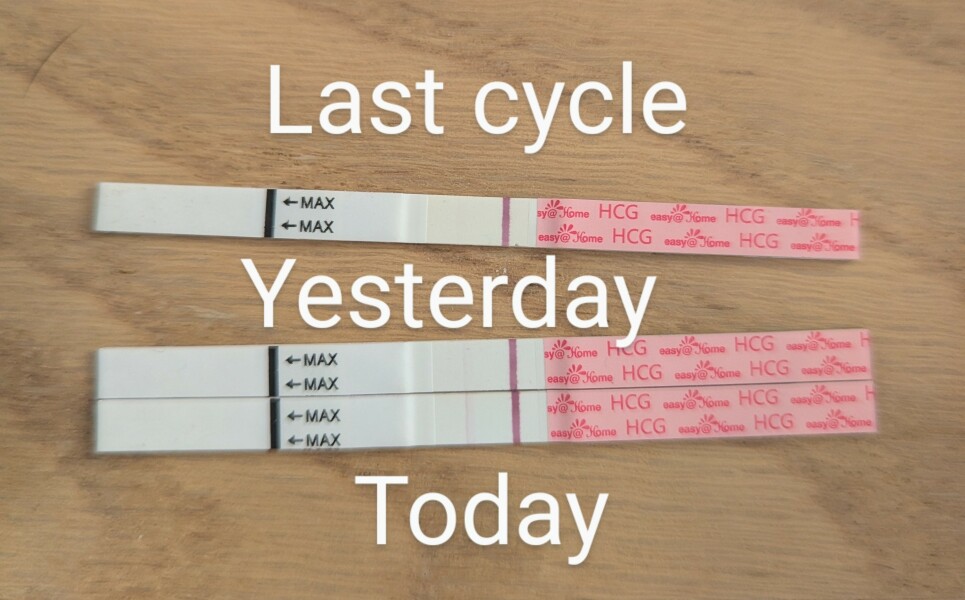 2DPO 12th Jan - anyone with me?