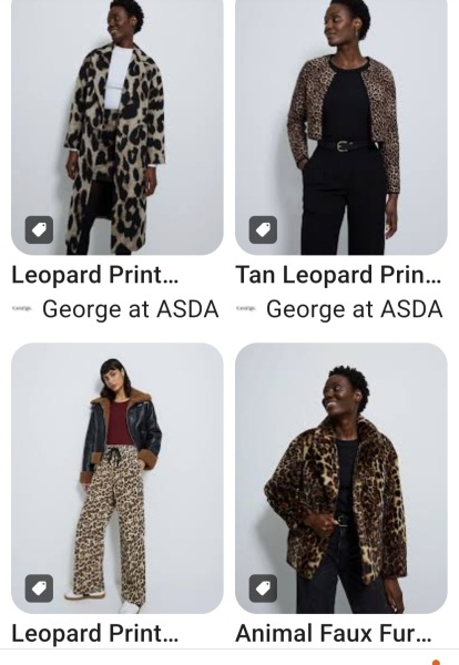 Animal Print Tops  - any nice ones ?