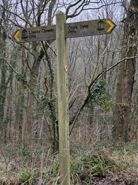 The Year Round Nigel Slater Discussion thread