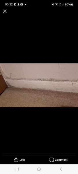 To think our house is making DC sick