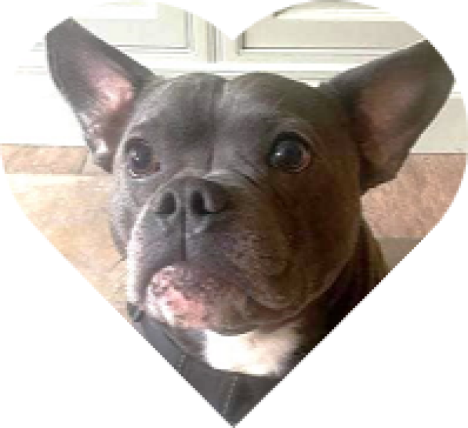 The Continuing Support Thread for Anyone Trying to Lead an Alcohol-Free Life Spring 2025