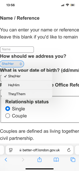 How can you be addressed as he/him she/her or they/them