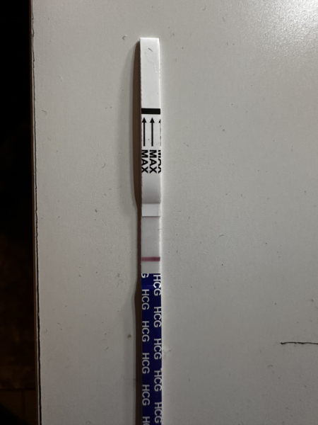 Pregnancy test