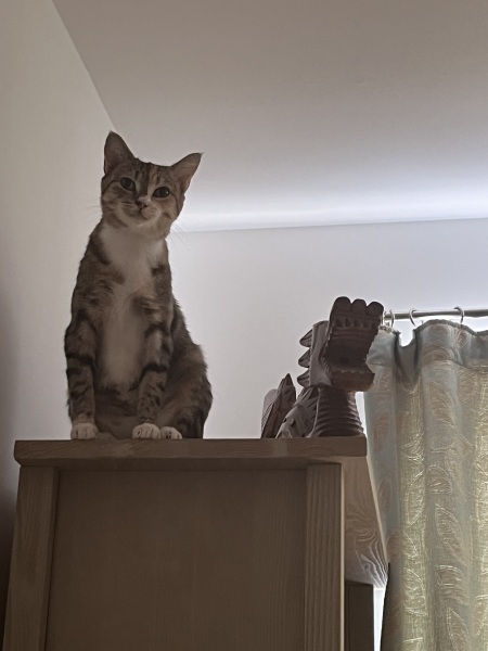 is mumsnet a safe space for me?